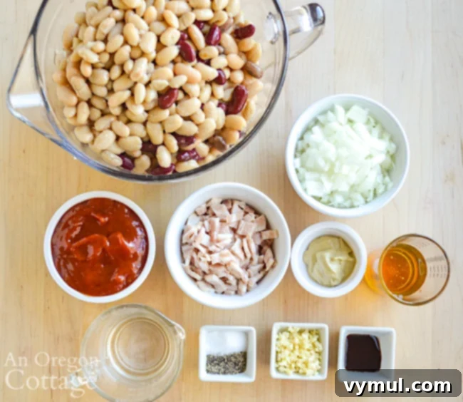 Slow Cooker Honey Baked Beans with Maple Variation 4 Assortment of ingredients for slow cooker baked beans, including various types of beans, onion, garlic, ketchup, and honey.
