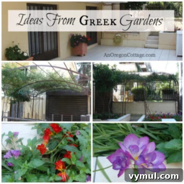 Mediterranean Muses: Greek Gardens 2 Greek Garden Ideas