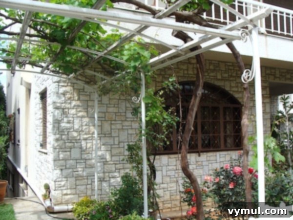 Mediterranean Muses: Greek Gardens 3 grape arbor driveway