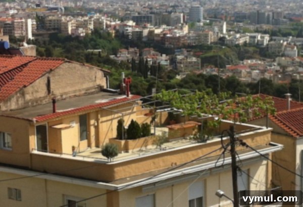 Mediterranean Muses: Greek Gardens 9 Thess-rooftop-garden