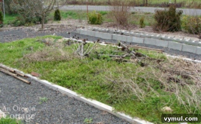 weed-filled vegetable bed