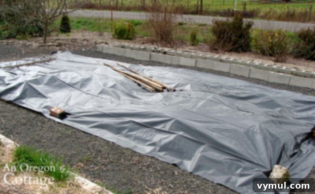 plastic covered vegetable bed_