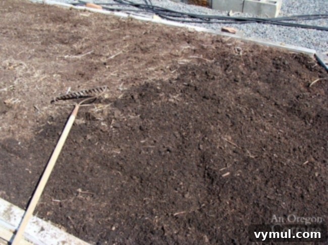 spreading compost layer on corn bed