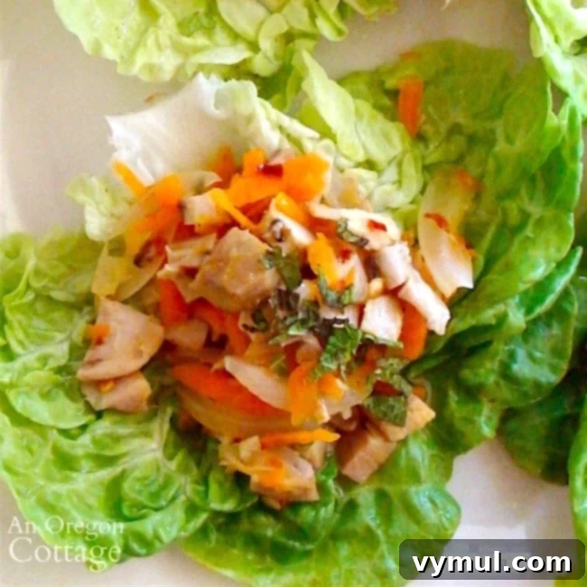 Close-up of chicken lime lettuce wrap from above