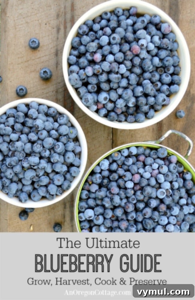 The Definitive Blueberry Sourcebook: Cultivation, Preservation and Culinary Uses 2 The Ultimate Blueberry Guide for growing, harvesting, and cooking