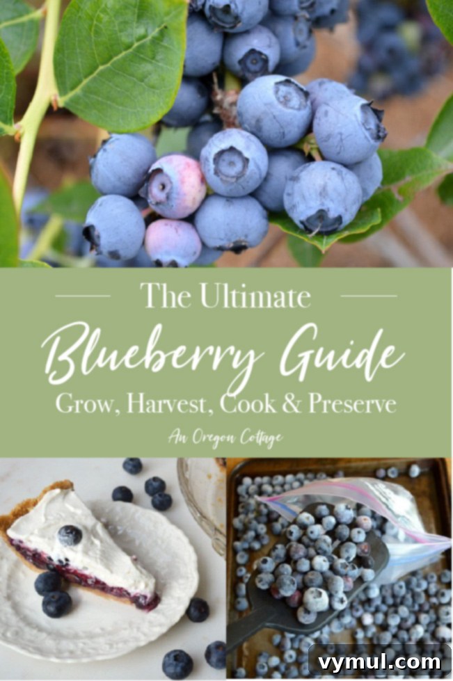 The Definitive Blueberry Sourcebook: Cultivation, Preservation and Culinary Uses 11 Ultimate Blueberry Guide pin image