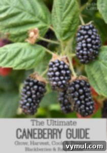 The Ultimate Caneberry Guide-growing, harvesting, cooking, and preserving raspberries and blackberries