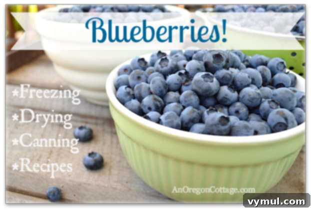 The Definitive Blueberry Sourcebook: Cultivation, Preservation and Culinary Uses 5 Blueberry Guide-recipes to preserve and cook with fresh blueberries