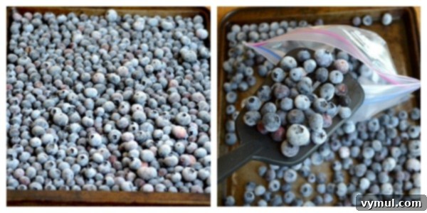 The Definitive Blueberry Sourcebook: Cultivation, Preservation and Culinary Uses 6 Freezing Blueberries