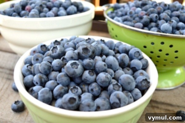 The Definitive Blueberry Sourcebook: Cultivation, Preservation and Culinary Uses 8 Blueberry Recipes