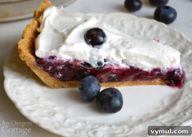 The Definitive Blueberry Sourcebook: Cultivation, Preservation and Culinary Uses 9 No Bake Blueberry pie piece on plate