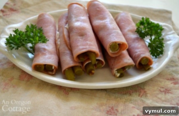 Tangy Low Carb Bean Wraps 4 Close-up of a 5-minute pickled bean appetizer roll-up, showcasing its simple yet elegant presentation.