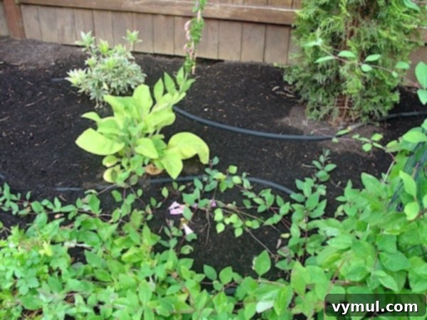 5 Garden Hacks for Saving Water and Your Weekend 3 Soaker Hose for Efficient Garden Watering