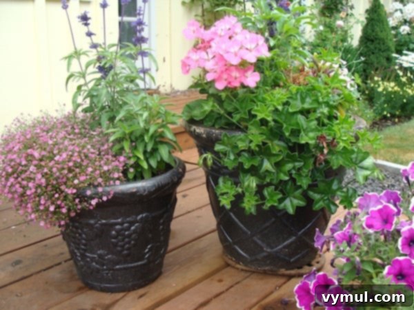 5 Garden Hacks for Saving Water and Your Weekend 6 Watering Tip: Use Large Flower Pots