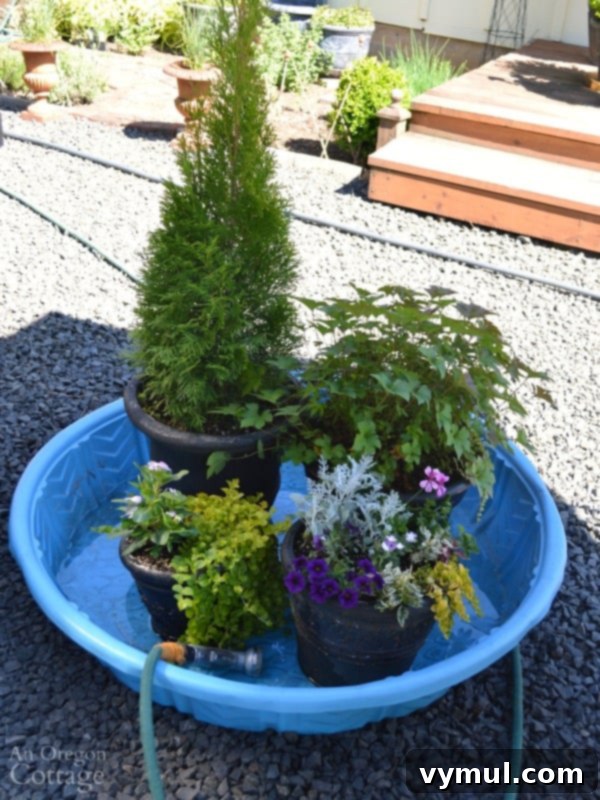 5 Garden Hacks for Saving Water and Your Weekend 8 Kiddie Pool for Vacation Watering of Potted Plants