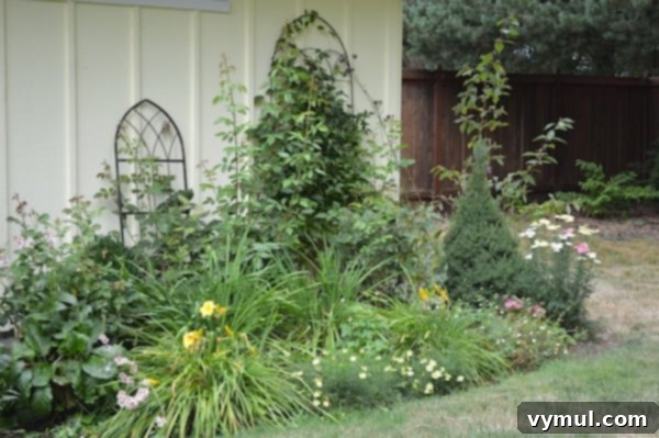 A beautiful daylily and yarrow border showcasing vibrant August blooms in a pastel and yellow color scheme.