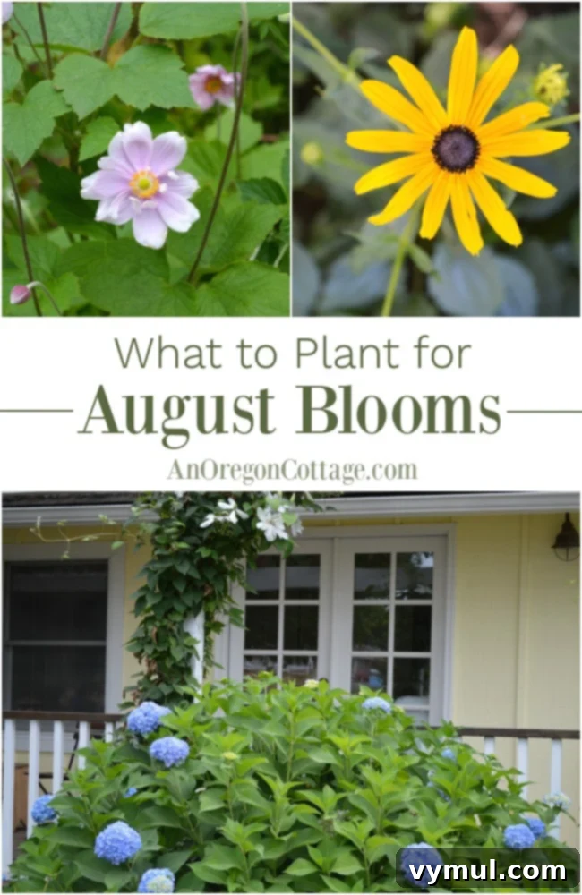Inspiring image for 'What to plant for August Blooms', featuring vibrant late-summer flowers to fill the garden lull.