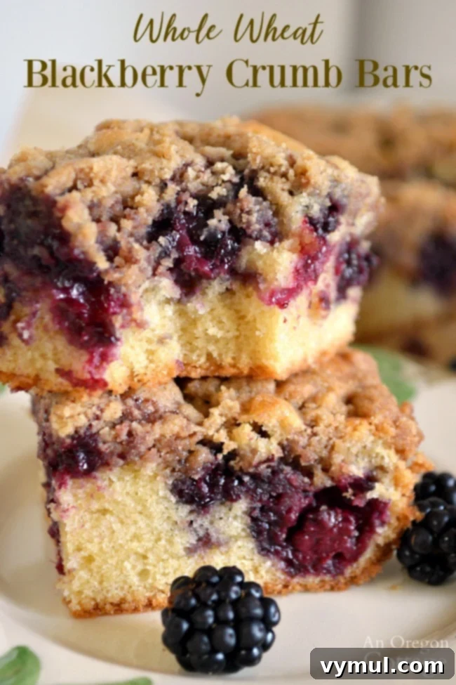 Farmhouse Blackberry Crumb Squares 2 Stacked Whole Wheat Blackberry Bars