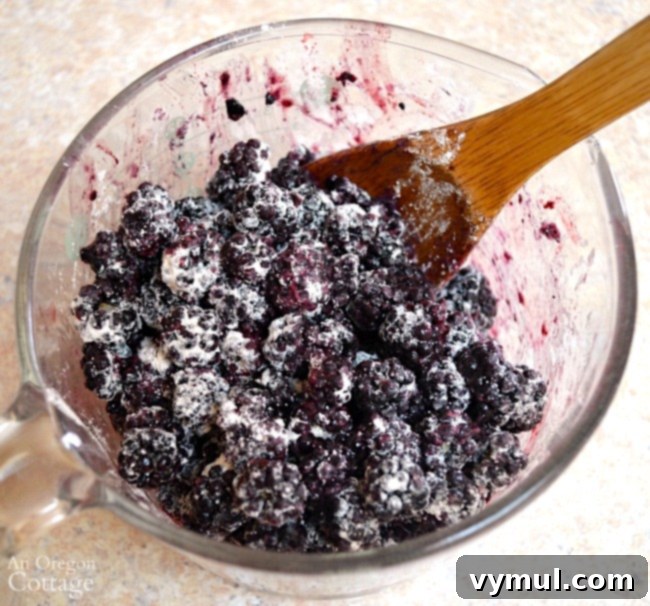 Farmhouse Blackberry Crumb Squares 5 Whole Wheat Blackberry Bars-frozen berries tip