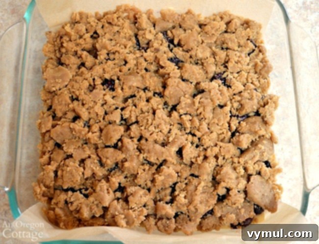 Farmhouse Blackberry Crumb Squares 6 Whole Wheat Blackberry Bars ready for oven