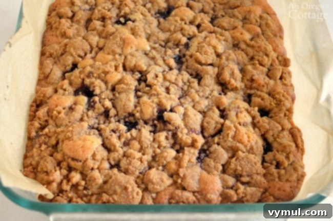 Farmhouse Blackberry Crumb Squares 7 Whole Wheat Blackberry Bars fresh from oven