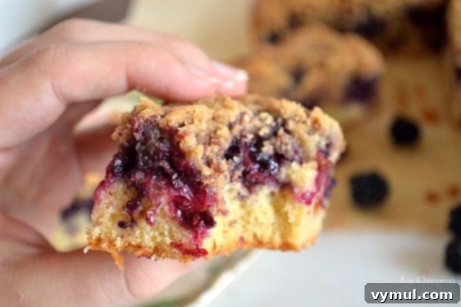 Farmhouse Blackberry Crumb Squares 8 Whole Wheat Blackberry Bars bite