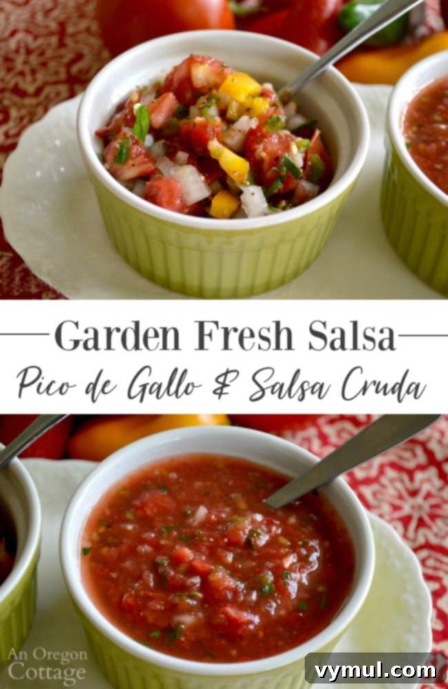 Easy Garden Fresh Salsa Recipe for Smooth or Chunky Salsa