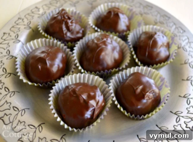 Easy Honey Sweetened Dairy Free Chocolate Peanut Butter Crunch Bites 4 Crispy Chocolate Peanut Butter balls-silver plate