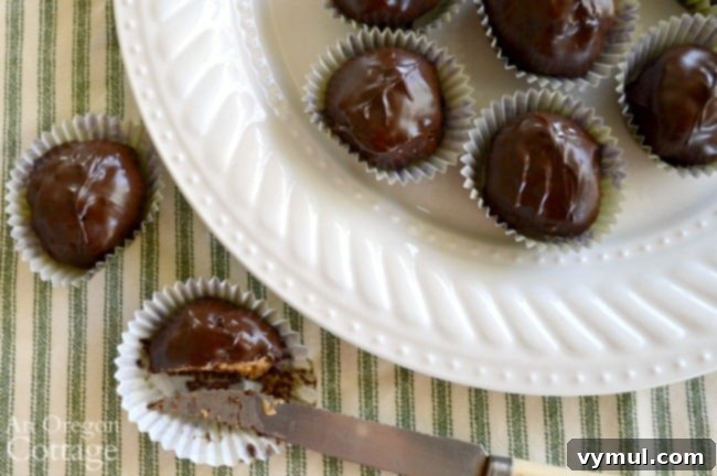 Easy Honey Sweetened Dairy Free Chocolate Peanut Butter Crunch Bites 5 crispy chocolate peanut butter balls on plate