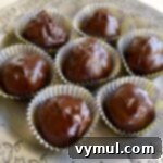 Easy Honey Sweetened Dairy Free Chocolate Peanut Butter Crunch Bites 6 Crispy Chocolate Peanut Butter balls-silver plate