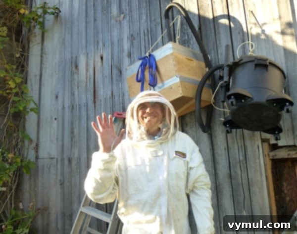 The Art of Wild Bee Foraging 2 Bee Man Harvesting Wild Bees: Zack inspecting a wild bee colony