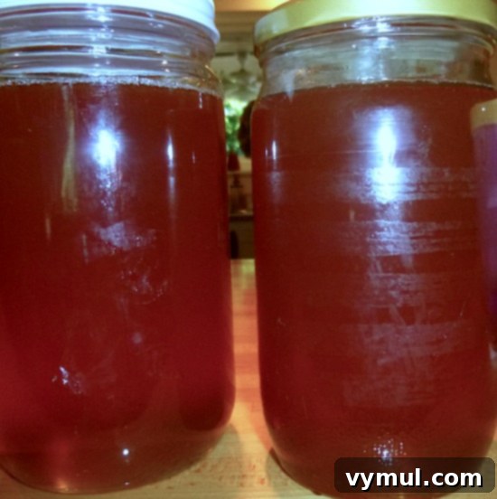 The Art of Wild Bee Foraging 9 Wild Bee Honey: Freshly harvested honeycombs