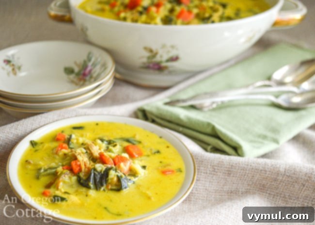 Revitalizing Chicken Vegetable Bone Broth Soup 10 serving turkey-rice curried soup