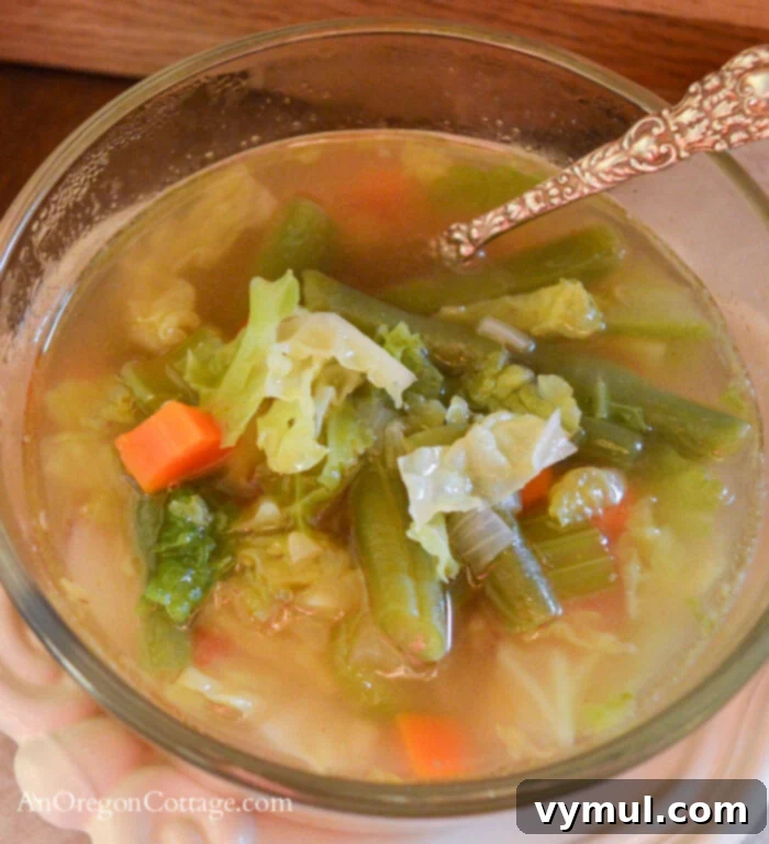Revitalizing Chicken Vegetable Bone Broth Soup 3 Chicken-Veg. soup in bowl