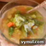 Revitalizing Chicken Vegetable Bone Broth Soup 7 Chicken-Veg. soup in bowl
