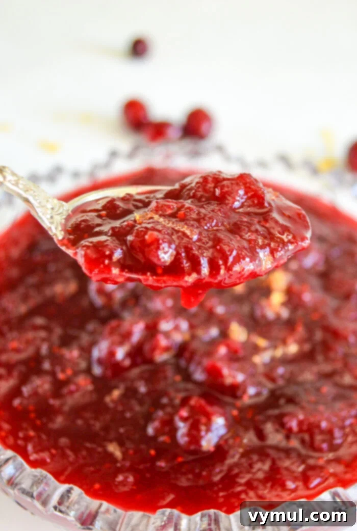 Best Homemade Cranberry Sauce Sweetened with Maple Syrup 2 cranberry sauce on spoon